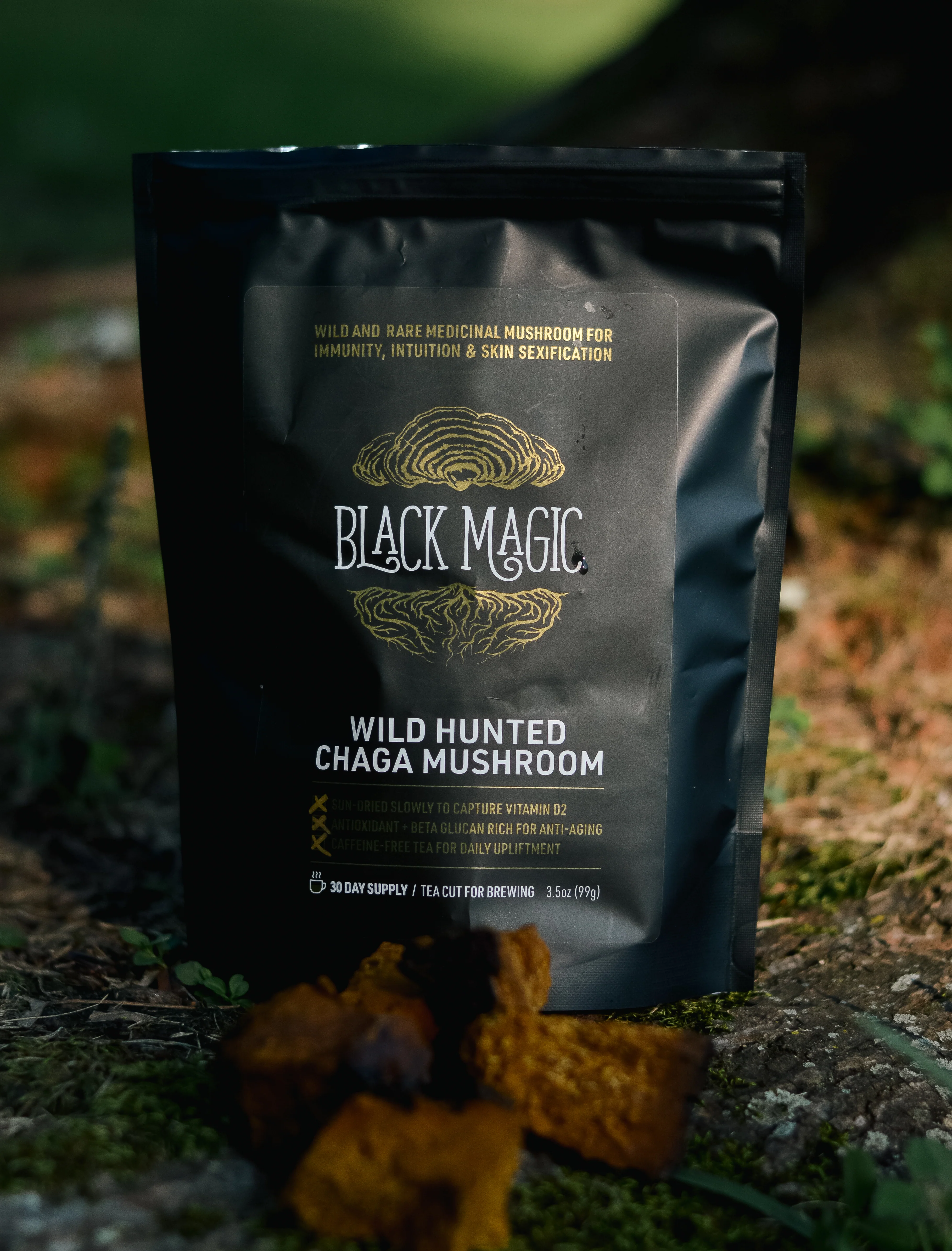 Wild Chaga Mushroom